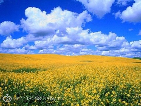 солнечного дня фото