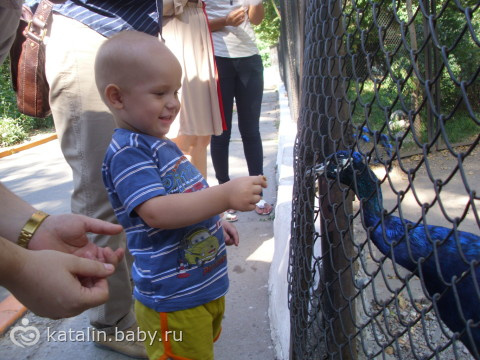 Стас впервые сходил в Зоопарк! (много фото)