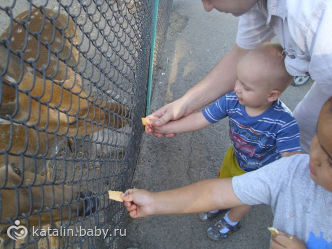 Стас впервые сходил в Зоопарк! (много фото)