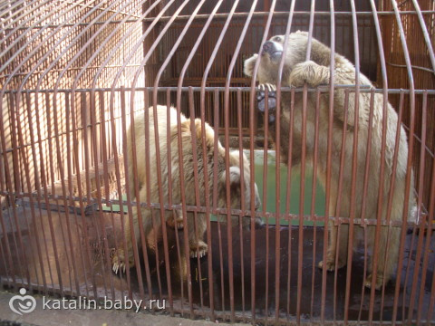 Стас впервые сходил в Зоопарк! (много фото)