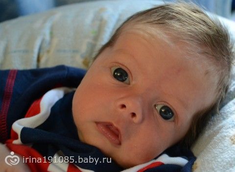 Роды номер 1, номер 2, ...