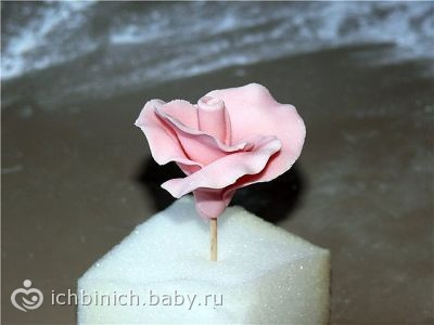 МК розы