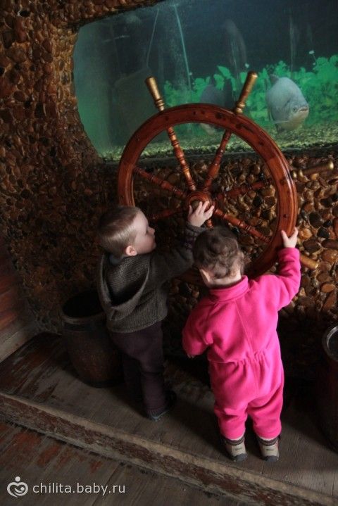 Наш поход в «аквариум»
